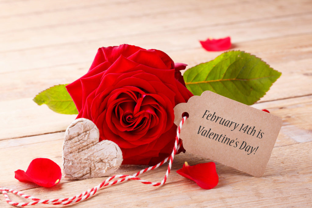 Valentine's Day