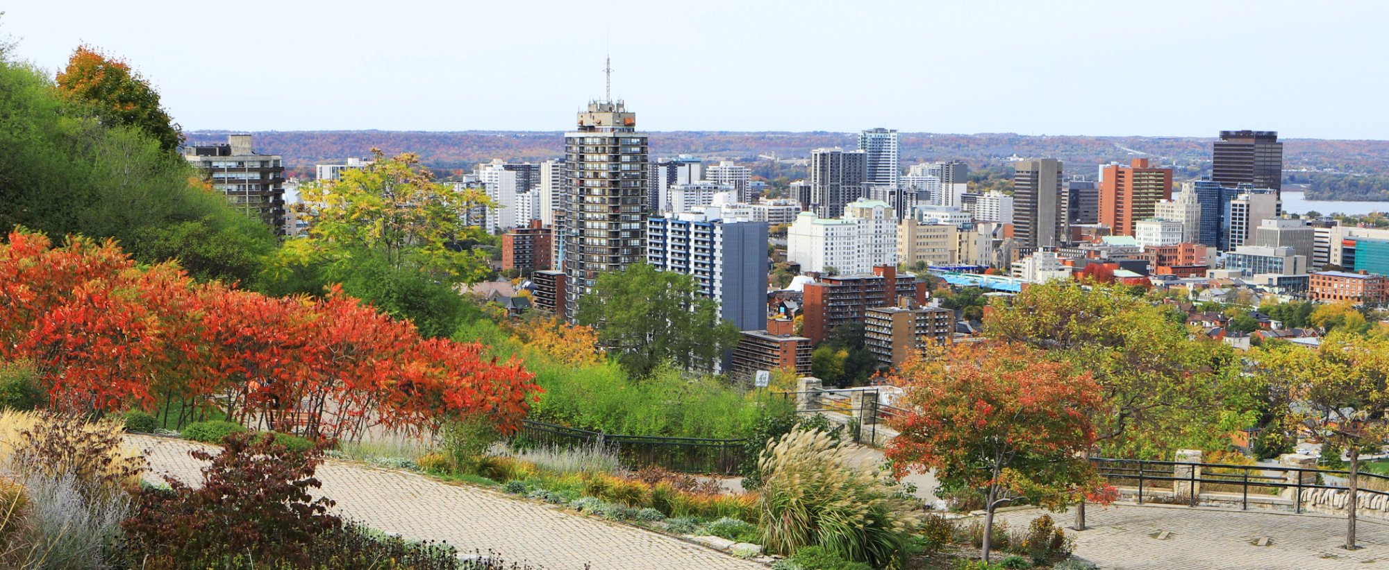 Online Dating in Hamilton for Singles