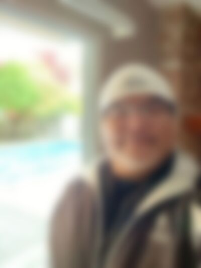 Single Pitbull from Abbotsford