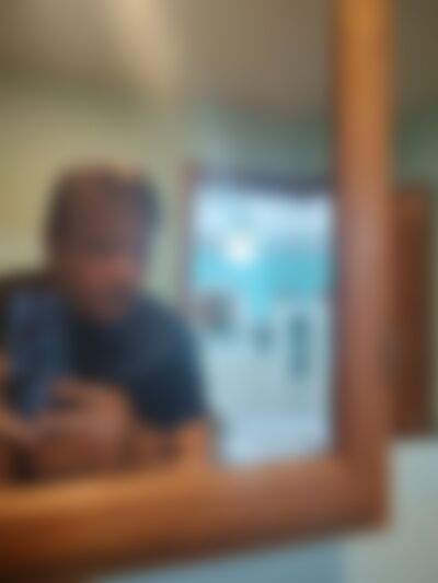 Single Zircon from Niles