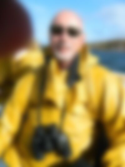 Single Highlandsea from Appleton