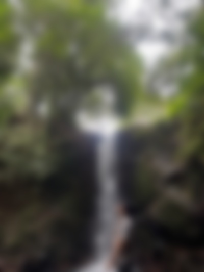 Single Wuziii from Denpasar