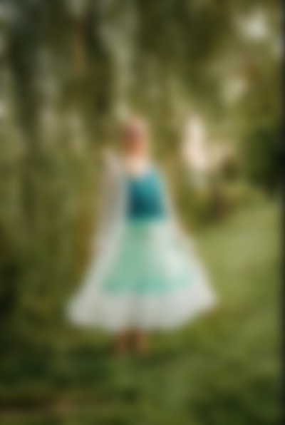 Single Corgis from Ankeny