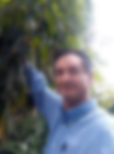 Single Franjuan from Tlaquepaque