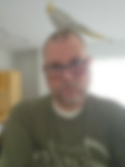 Single Jessebk from Lawrence