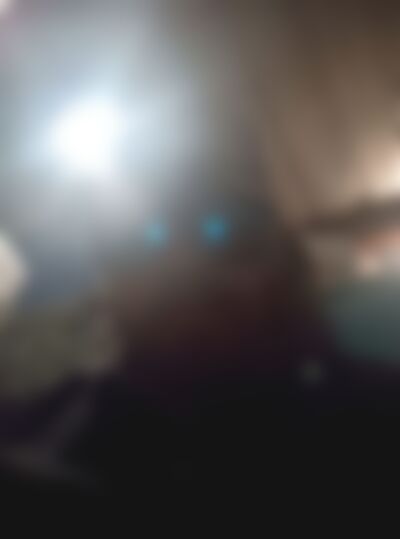 Single LBKLAD420 from Lubbock