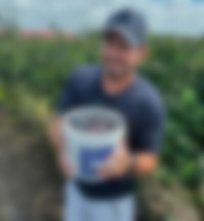 Single Davipked from Washington