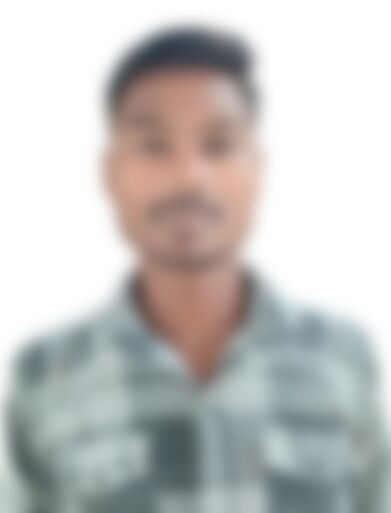 Single Williamkang from Mundra