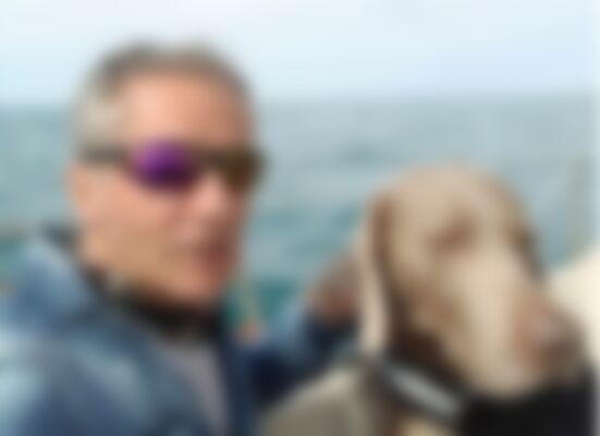 Single Mylord from Toulouse