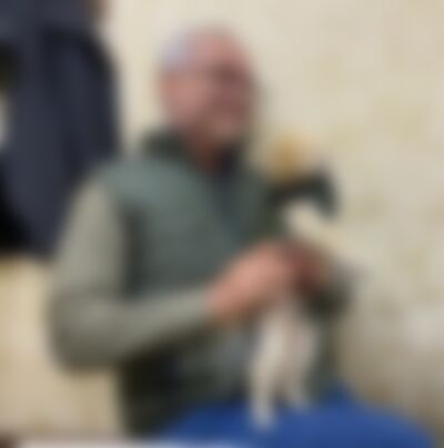 Single Handsomedonald from Miami