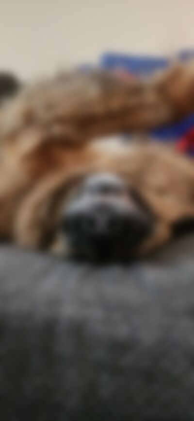 Single DraeD from Harrisburg