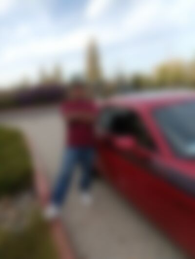 Single Longdongsilver from Hayward