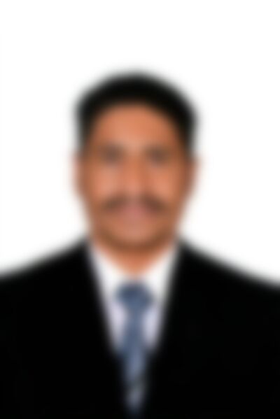 Single Nibras from New York