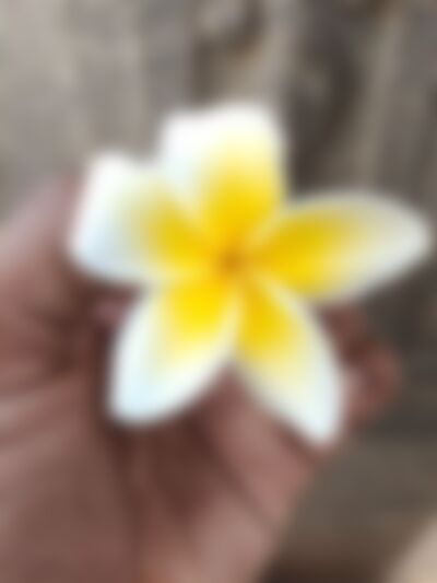 Single Rovin from Chennai