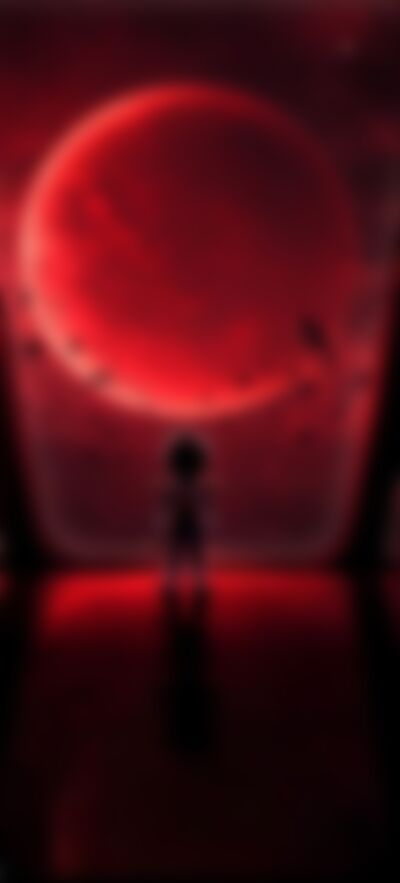 Single Fazan from New York