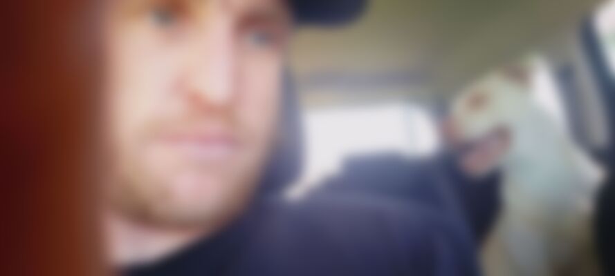 Single Nostringsattached from Napier