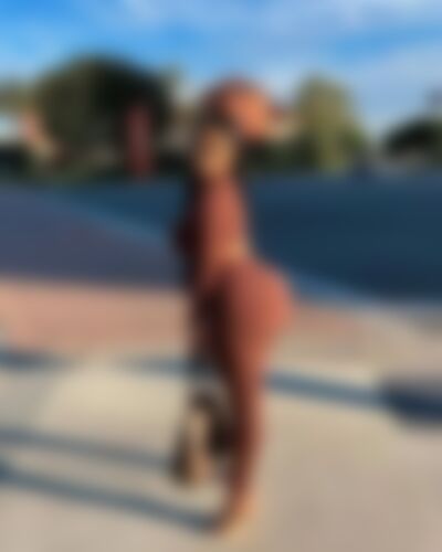 Single Shirley from Holland