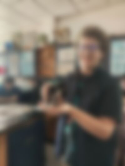 Single Reese from Concord