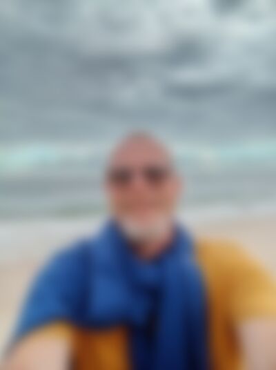 Single squirrel from Hermanus