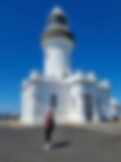 Single Thistle from Feilding