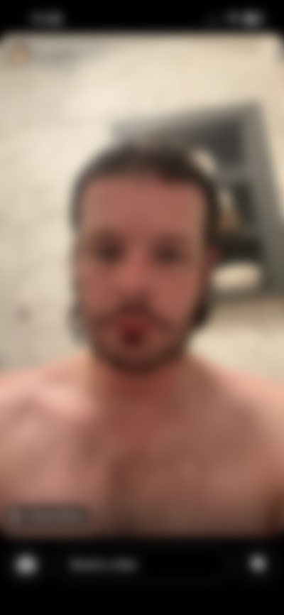 Single AlaskanPenguin from Columbiana