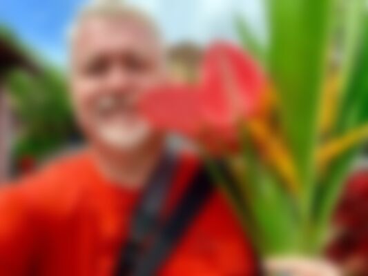 Single Jamey from Florida