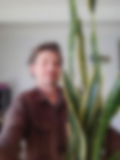 Single Camtheman from Palmerston North