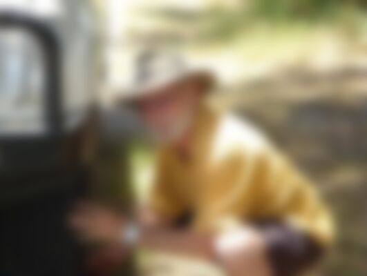 Single DonMal from Mareeba