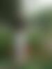 Single alenaaa from United States Single alenaaa from United States