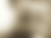 Single Rhansom from Australia Single Rhansom from Australia