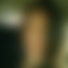 Single Text8026355226 from United States Single Text8026355226 from United States