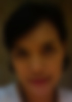 Single ladybutterfly from Pangkalpinang