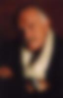 Single winglessfalcone from Spring Valley