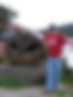 Single mk10009 from Fresno