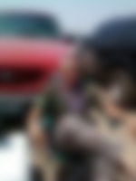 Single calocalo from Newcastle