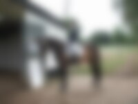 Single rider123 from Quebec City