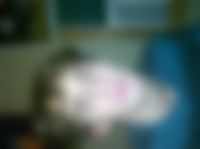 Single Matt7174187524 from Nashville