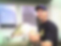 Single anthonyped from York