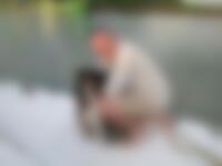 Single timlj from Elk Grove