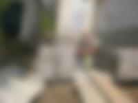 Single Muffin from Overland Park