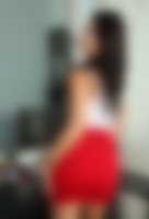 Single SALOME from Tallahassee