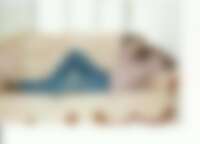 Single blackspider from Basingstoke