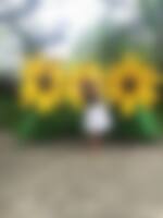 Single francine from Rockford